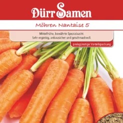 Möhre Nantaise 50 G | Möhrensamen Von Dürr Samen