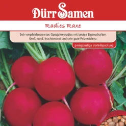 Radies Raxe 50g | Radieschensamen Von Dürr Samen