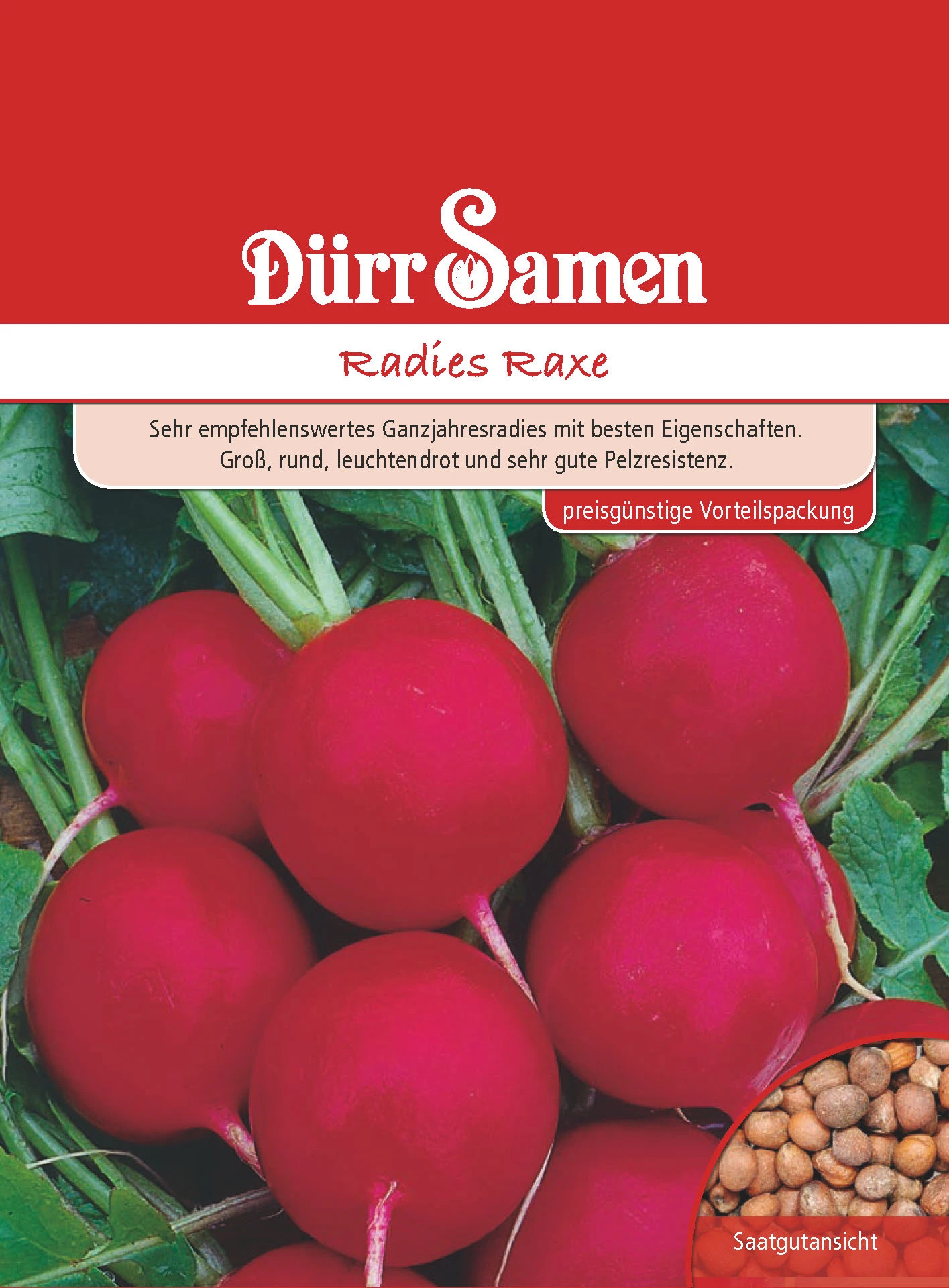 Radies Raxe 50g | Radieschensamen Von Dürr Samen 1 Radies Raxe 50g | Radieschensamen Von Dürr Samen