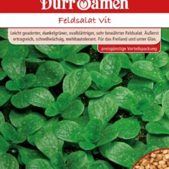Feldsalat Vit 250 G | Feldsalatsamen Von Dürr Samen