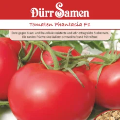Stabtomate Phantasia F1 | Stabtomatensamen Von Dürr Samen