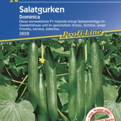 Salatgurke Dominica F1 | Salatgurkensamen Von Kiepenkerl