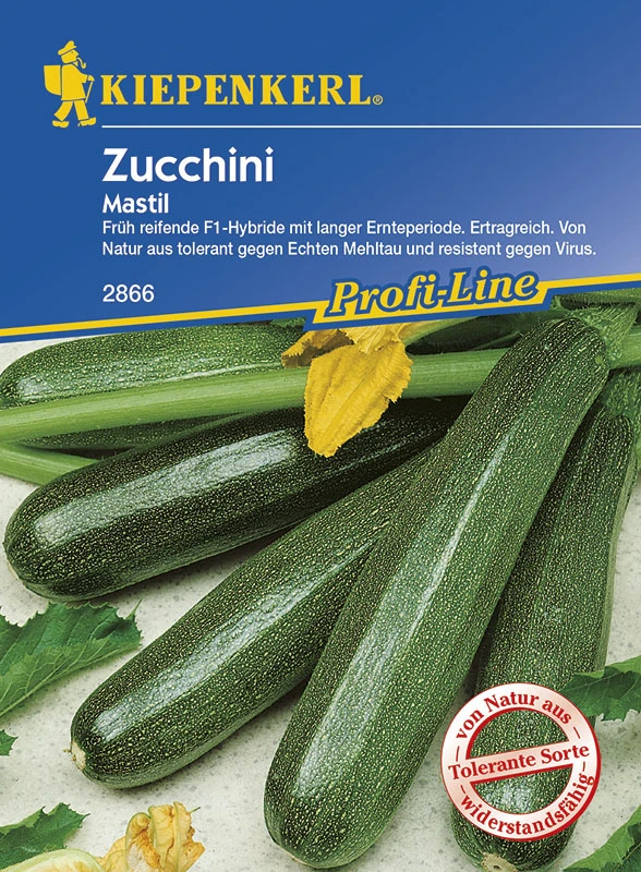 Zucchini Mastil F1 | Zucchinisamen Von Kiepenkerl 2 Zucchini Mastil F1 | Zucchinisamen Von Kiepenkerl – Bild 2