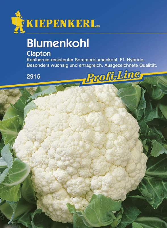 Blumenkohl Clapton F1 | Blumenkohlsamen Von Kiepenkerl 1 Blumenkohl Clapton F1 | Blumenkohlsamen Von Kiepenkerl