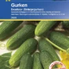 Einlegegurke Excelsior F1 | Einlegegurkensamen Von Kiepenkerl