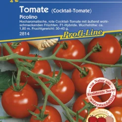 Cocktailtomate Picolino | Kirschtomatensamen Von Kiepenkerl