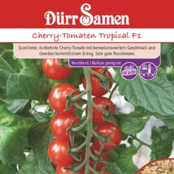 Kirschtomate Tropical F1 | Kirschtomatensamen Von Dürr Samen