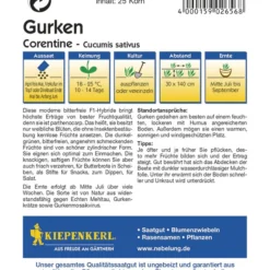 Einlegegurke Corentine | Einlegegurkensamen Von Kiepenkerl