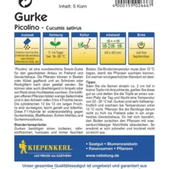 Gurke Picolino F1 | Gurkensamen Von Kiepenkerl