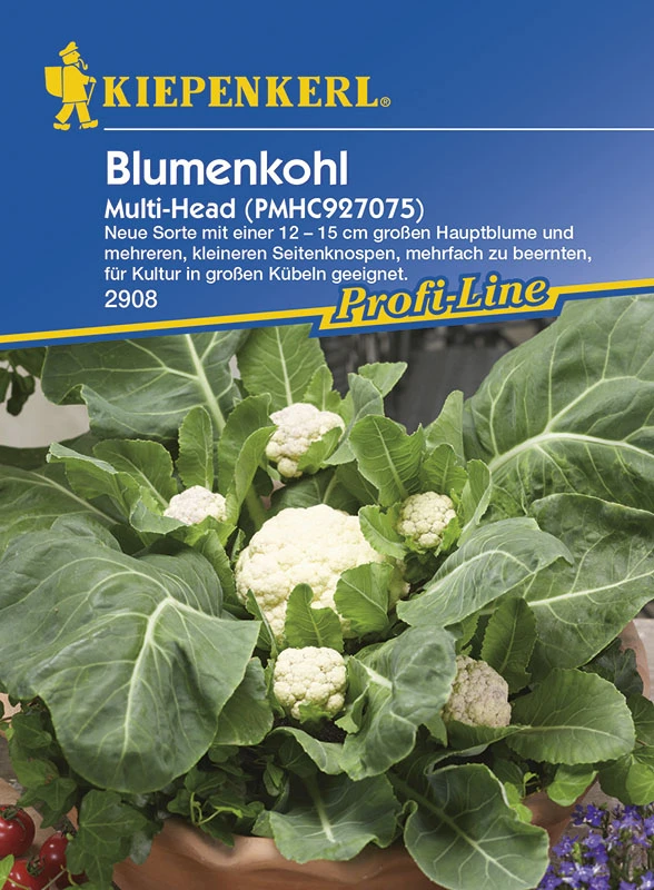 Blumenkohl Multi - Head F1 | Blumenkohlsamen Von Kiepenkerl 1 Blumenkohl Multi - Head F1 | Blumenkohlsamen Von Kiepenkerl