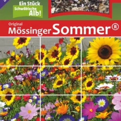 Mössinger Sommer Für 6 M² | Blumenwiese Von Saatgut-Manufaktur