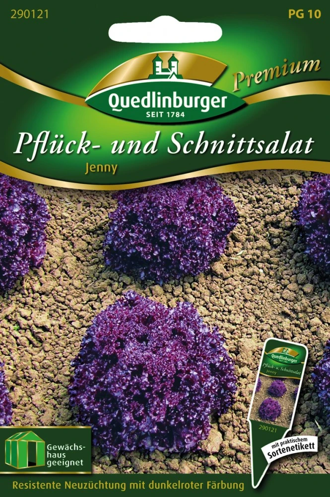 Pflücksalat Jenny | Pflücksalatsamen Von Quedlinburger 1 Pflücksalat Jenny | Pflücksalatsamen Von Quedlinburger
