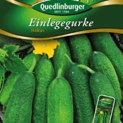 Einlegegurke Hokus | Einlegegurkensamen Von Quedlinburger