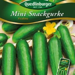 Mini-Snackgurken Picolino | Minigurkensamen Von Quedlinburger