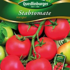 Stabtomaten Harzglut | Stabtomatensamen Von Quedlinburger