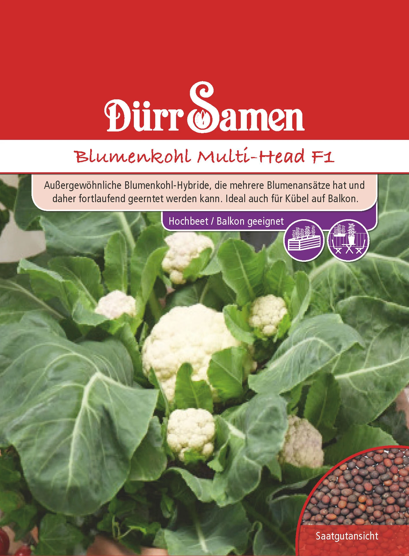 Blumenkohl Multi-Head F1 | Kohlsamen Von Dürr Samen 2 Blumenkohl Multi-Head F1 | Kohlsamen Von Dürr Samen – Bild 2