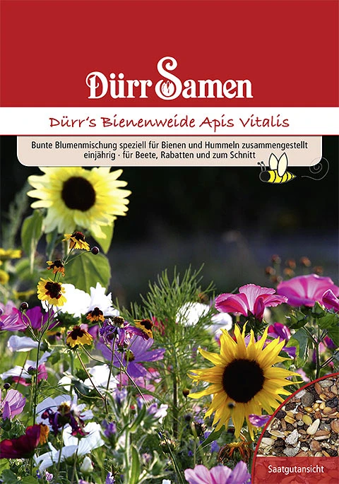 Bienen- Und Hummelweide Apis Vitalis (1 Kg) | Blumensamen Von Dürr Samen 2 Bienen- Und Hummelweide Apis Vitalis (1 Kg) | Blumensamen Von Dürr Samen – Bild 2