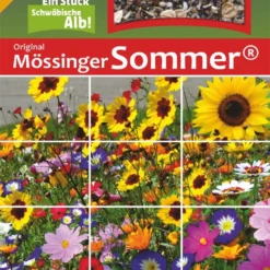 Mössinger Sommer Für 20 M² | Blumenwiese Von Saatgut-Manufaktur
