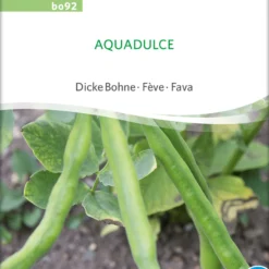 Dicke Bohne Aquadulce | BIO Bohnensamen Von Sativa Rheinau