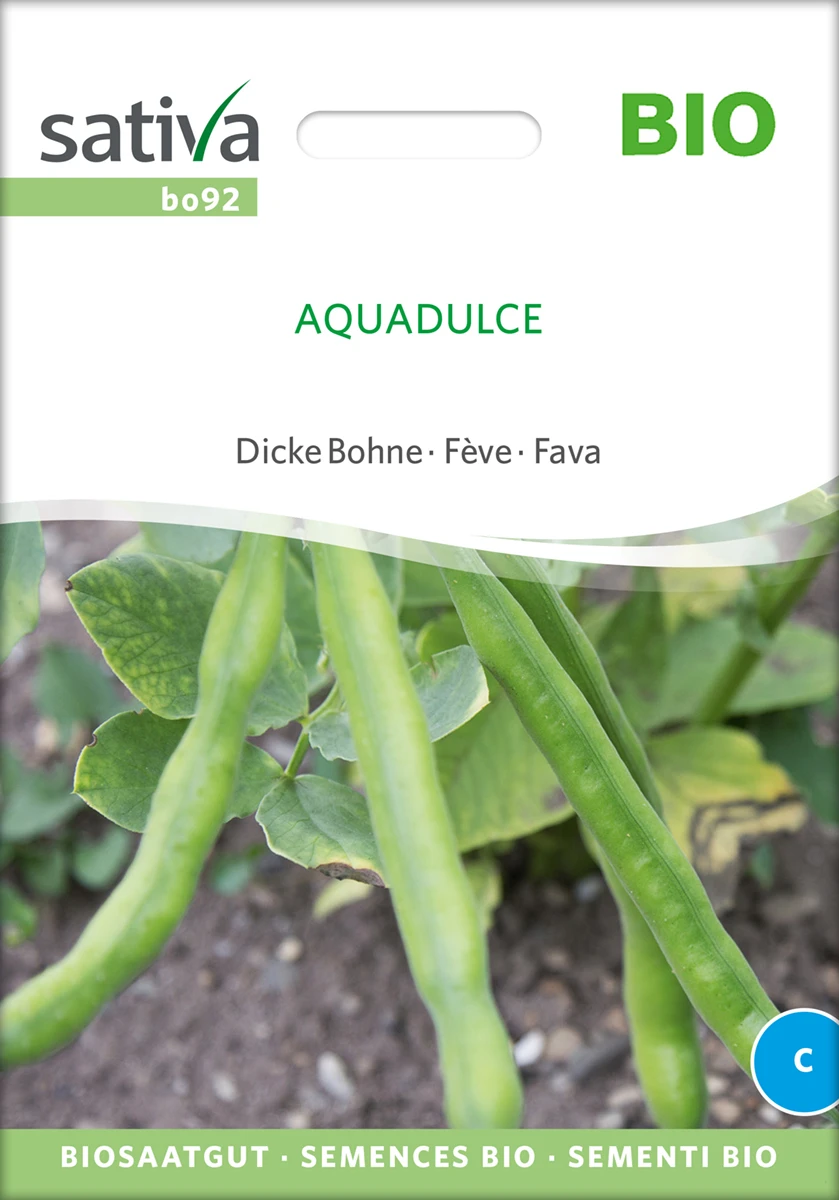 Dicke Bohne Aquadulce | BIO Bohnensamen Von Sativa Rheinau 1 Dicke Bohne Aquadulce | BIO Bohnensamen Von Sativa Rheinau