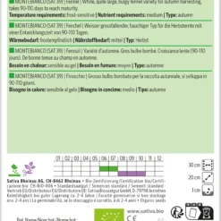 Knollenfenchel Montebianco | BIO Fenchelsamen Von Sativa Rheinau
