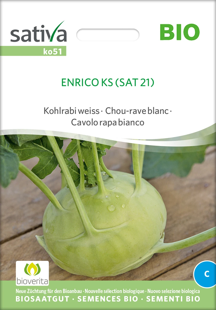 Kohlrabi Weiss Auslese Sehr Früh | BIO Kohlrabisamen Von Sativa Rheinau 1 Kohlrabi Weiss Auslese Sehr Früh | BIO Kohlrabisamen Von Sativa Rheinau