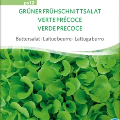 Buttersalat Frühschnittsalat Grüner | BIO Salatsamen Von Sativa Rheinau