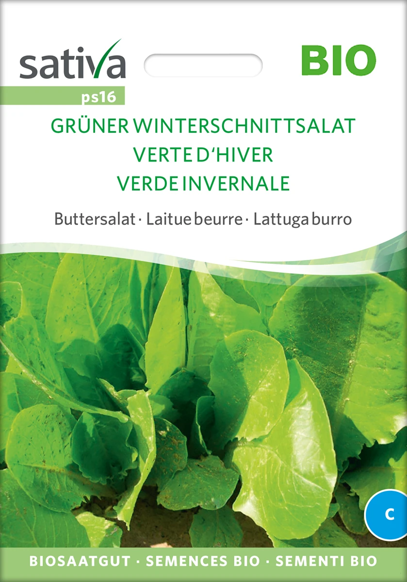 Buttersalat Winterschnittsalat Grüner | BIO Salatsamen Von Sativa Rheinau 2 Buttersalat Winterschnittsalat Grüner | BIO Salatsamen Von Sativa Rheinau – Bild 2