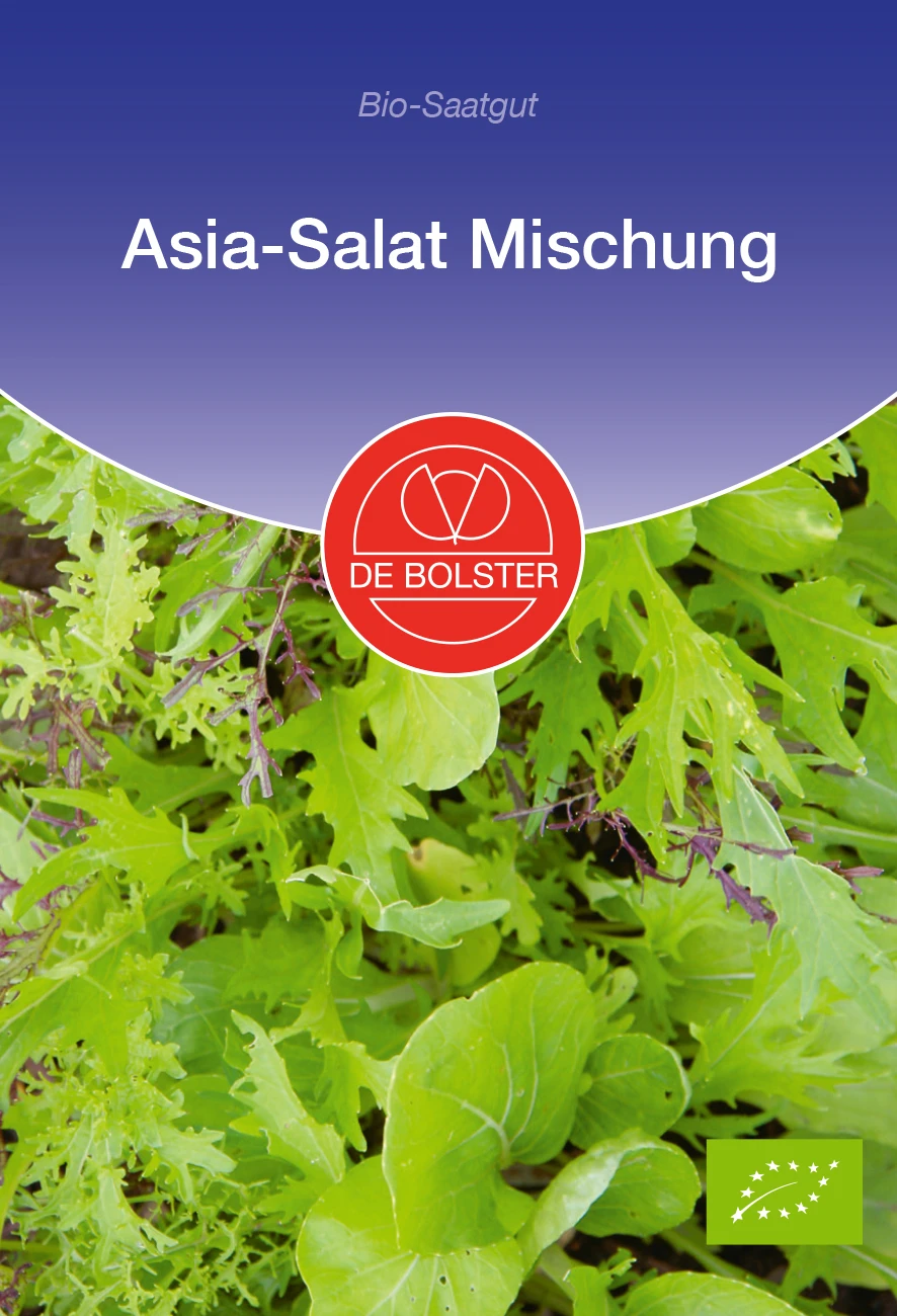 Asia - Salat Mischung | BIO Salatsamen Von De Bolster 2 Asia - Salat Mischung | BIO Salatsamen Von De Bolster – Bild 2