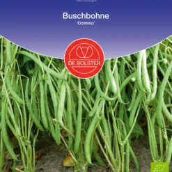 Buschbohne Domino| BIO Buschbohnensamen Von De Bolster