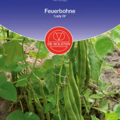 Feuerbohne Lady Di | BIO Bohnensamen Von De Bolster 3 Feuerbohne Lady Di | BIO Bohnensamen Von De Bolster -Angebote Pflanzen Glanz Store 534888 BIO Feuerbohne Lady Di 11205 db 0