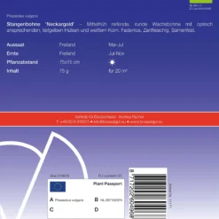 Stangenbohne Neckargold | BIO Stangenbohnensamen Von De Bolster [MHD 12/2023]