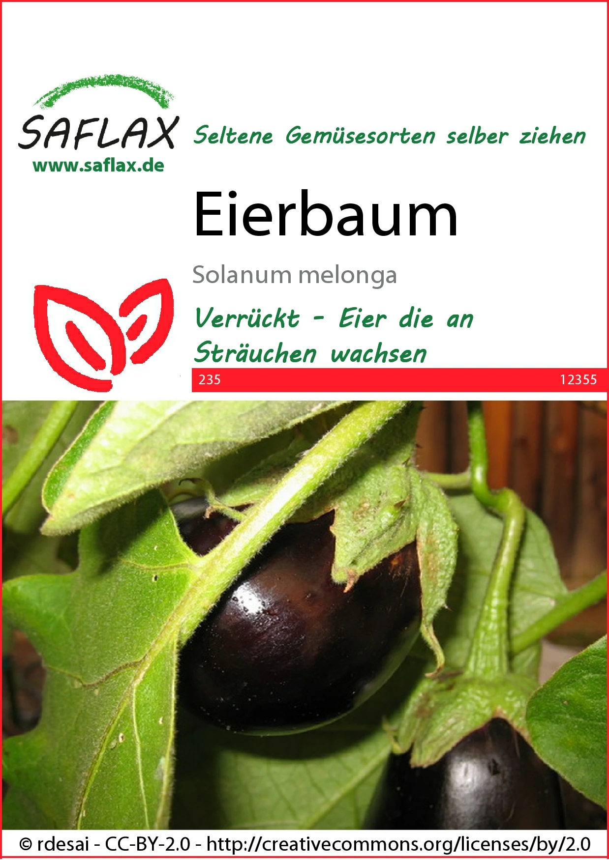 Eierbaum | Eierbaumsamen Von Saflax 2 Eierbaum | Eierbaumsamen Von Saflax – Bild 2