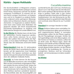 Kürbis Japan Hokkaido | Hokkaidokürbissamen Von Saflax
