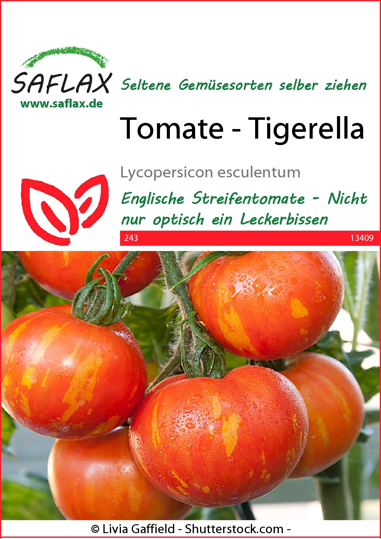 Tomate Tigerella | Tomatensamen Von Saflax 1 Tomate Tigerella | Tomatensamen Von Saflax