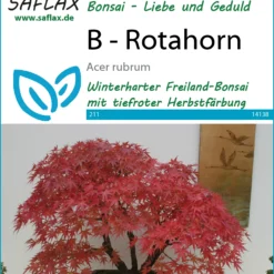 Angebote Pflanzen Glanz Store -Angebote Pflanzen Glanz Store 535624 Rotahorn 14138 sa 0