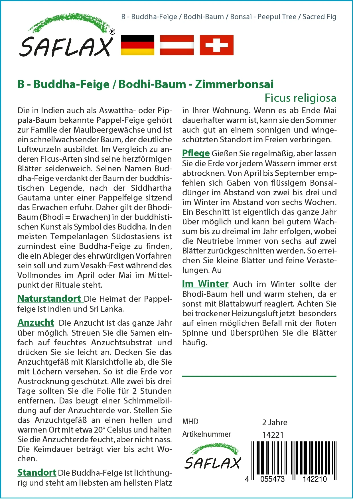Buddha-Feige (Bodhi-Baum) | Bonsaisamen Von Saflax 1 Buddha-Feige (Bodhi-Baum) | Bonsaisamen Von Saflax