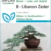 Libanon Zeder | Bonsaisamen Von Saflax