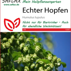 Echter Hopfen | Heilpflanzensamen Von Saflax