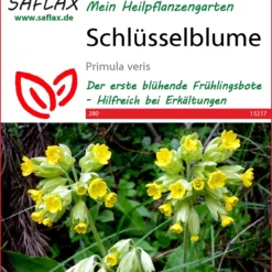 Schlüsselblume | Heilpflanzensamen Von Saflax
