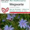 Wegwarte | Heilpflanzensamen Von Saflax
