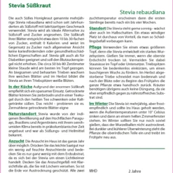 Süßkraut Stevia | Steviasamen Von Saflax