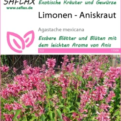 Limonen-Aniskraut | Anissamen Von Saflax