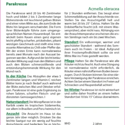 Angebote Pflanzen Glanz Store -Angebote Pflanzen Glanz Store 535684 Parakresse 17515 sa 1