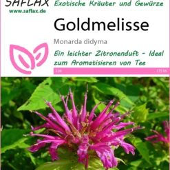 Goldmelisse | Melissensamen Von Saflax