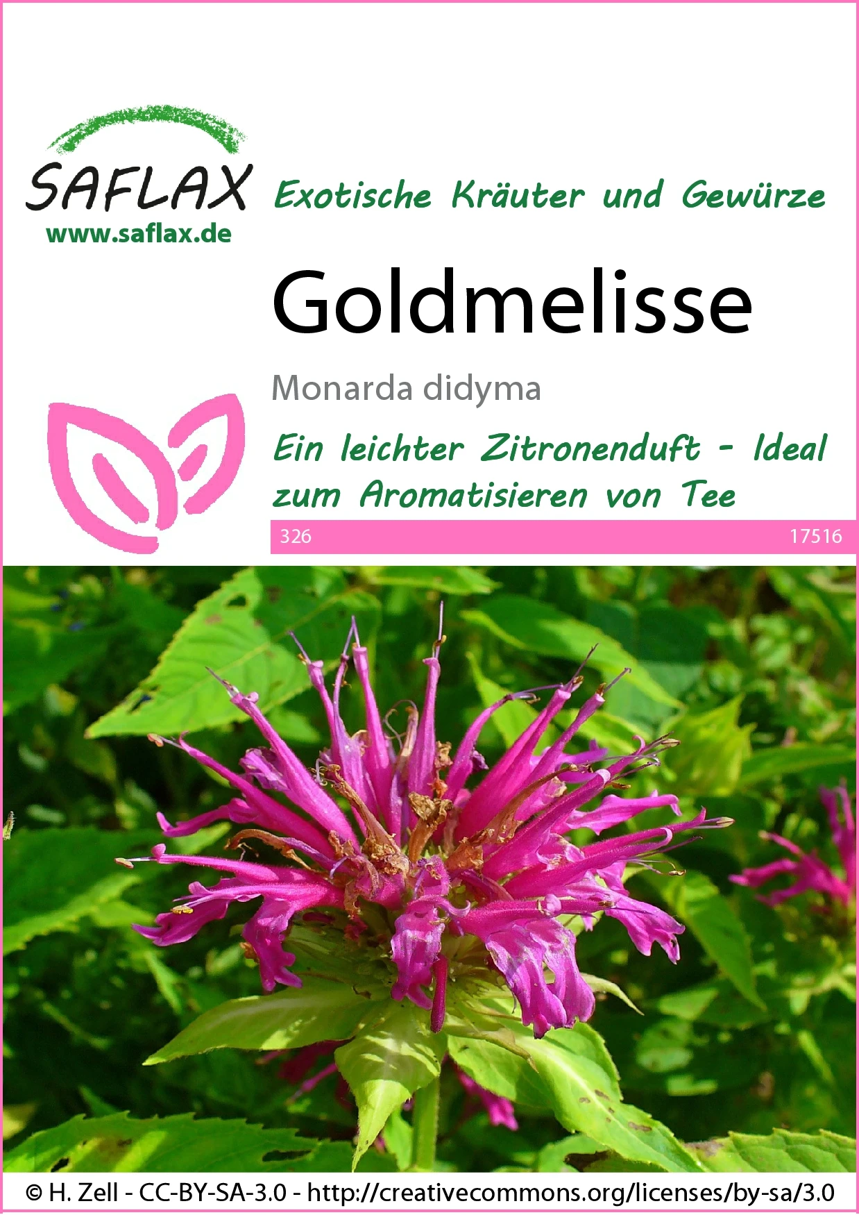 Goldmelisse | Melissensamen Von Saflax 1 Goldmelisse | Melissensamen Von Saflax