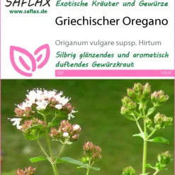 Angebote Pflanzen Glanz Store -Angebote Pflanzen Glanz Store 535686 Griechischer Oregano 17517 sa 0