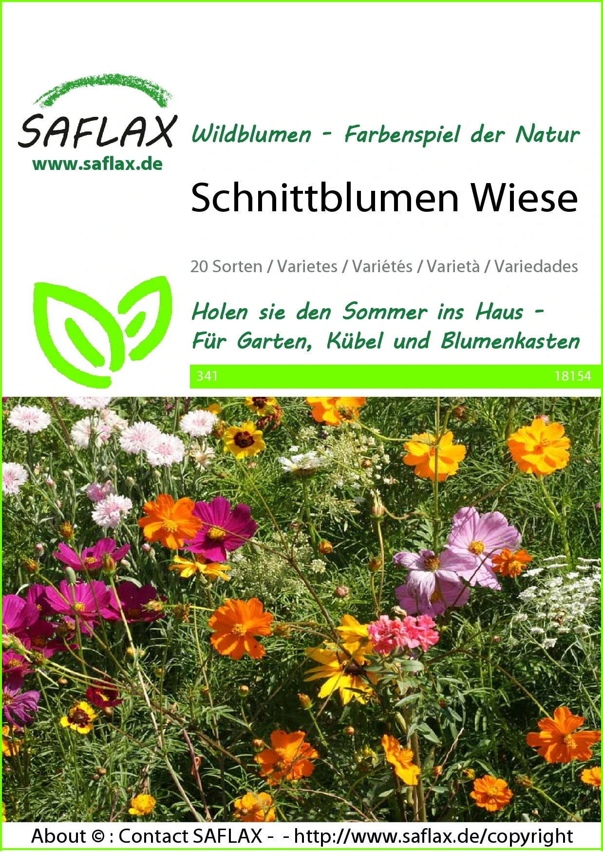 Schnittblumen Wiese | Wildblumenwiese Von Saflax 2 Schnittblumen Wiese | Wildblumenwiese Von Saflax – Bild 2