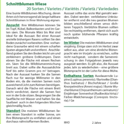 Schnittblumen Wiese | Wildblumenwiese Von Saflax