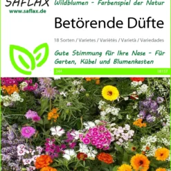 Blumenwiese Betörende Düfte | Wildblumenwiese Von Saflax